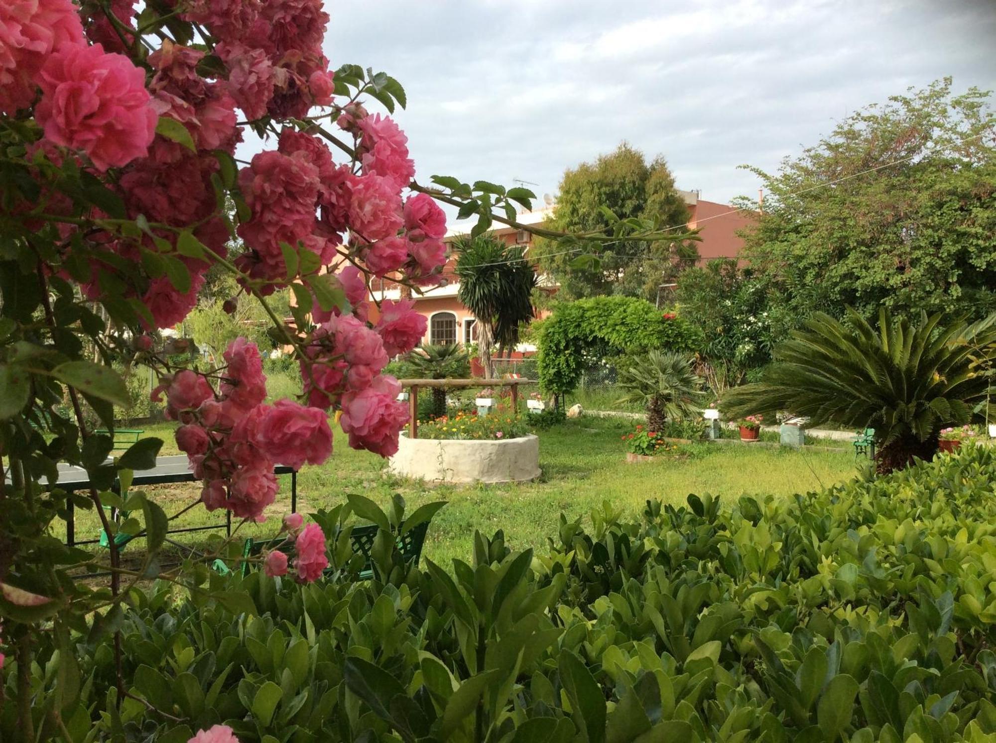 Irene Apartment Arillas (Corfu)