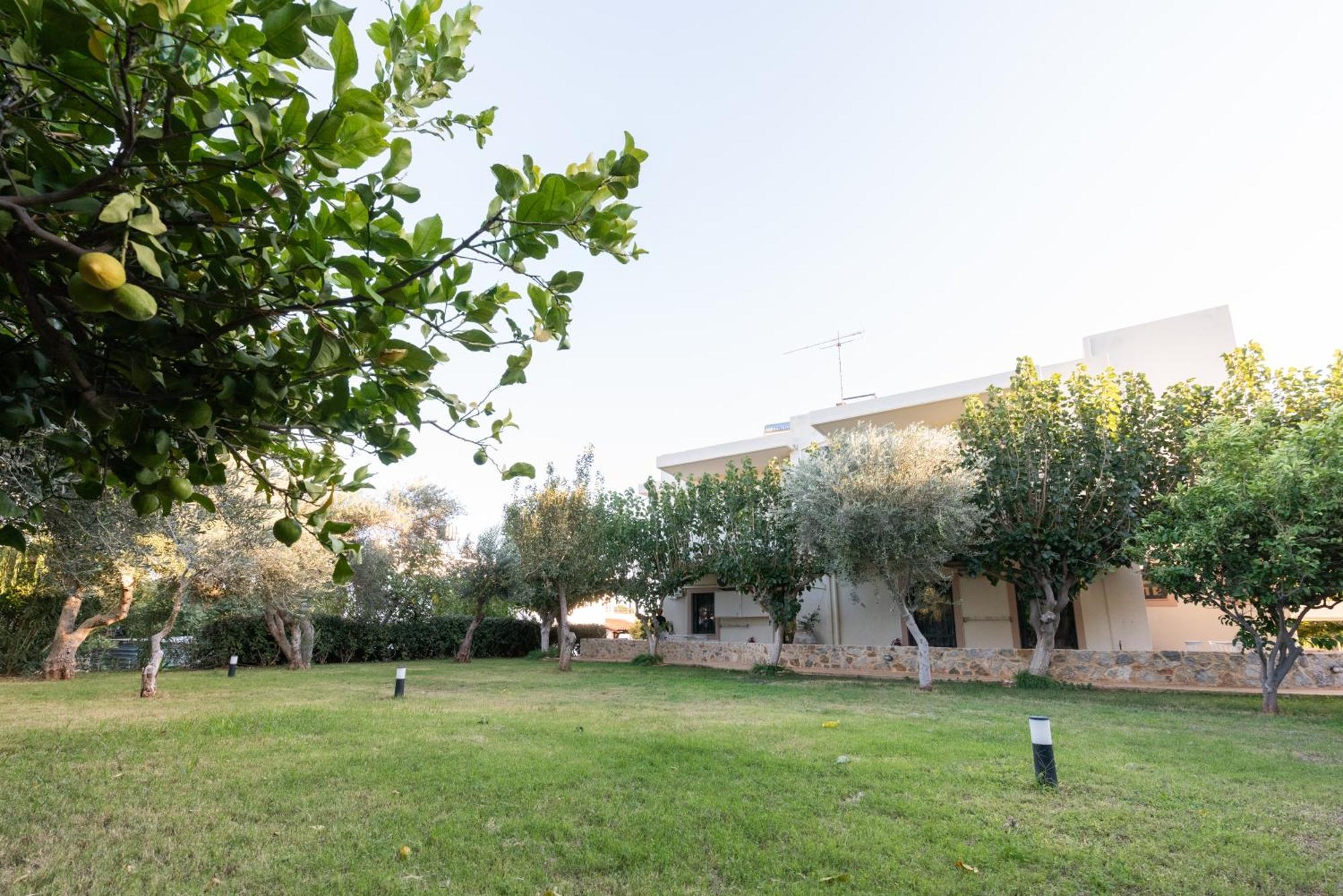 Mear Luxury Homes - Cretan Sunny Gems *