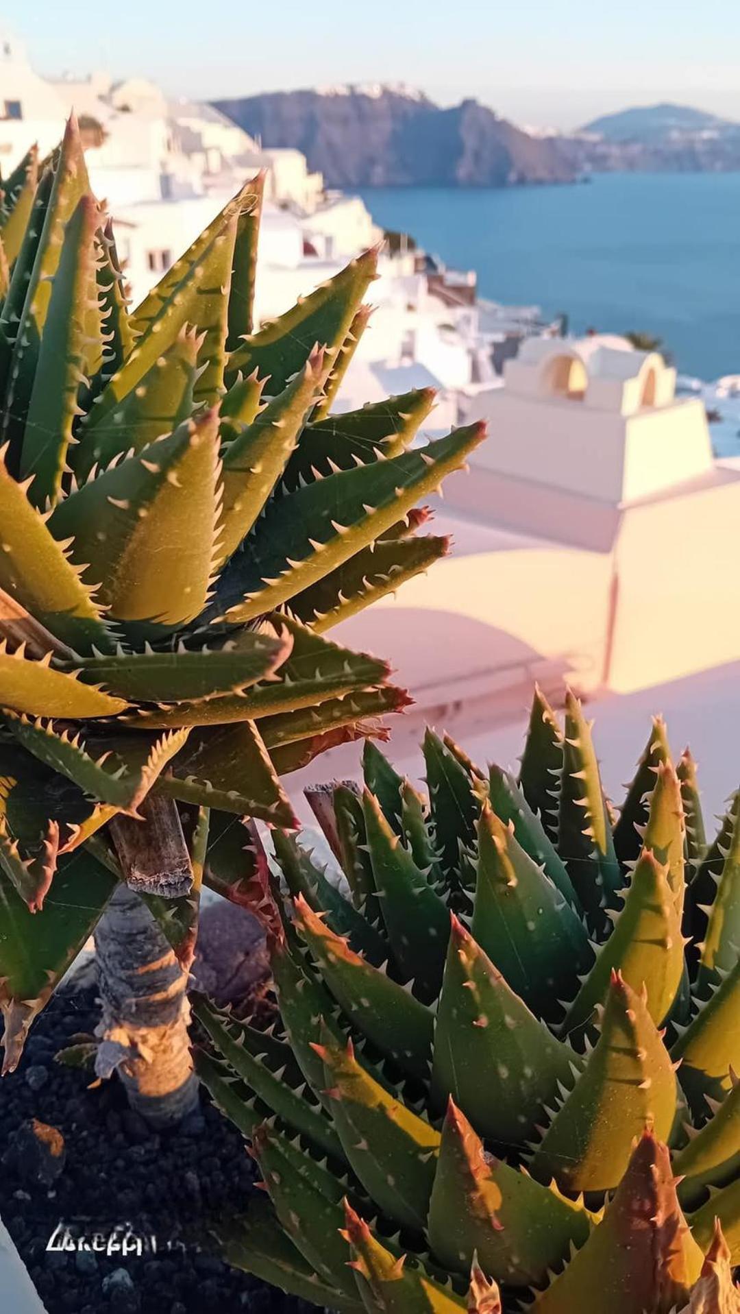 Santorini Ethereal Blue Aparthotel Pyrgos Kallistis