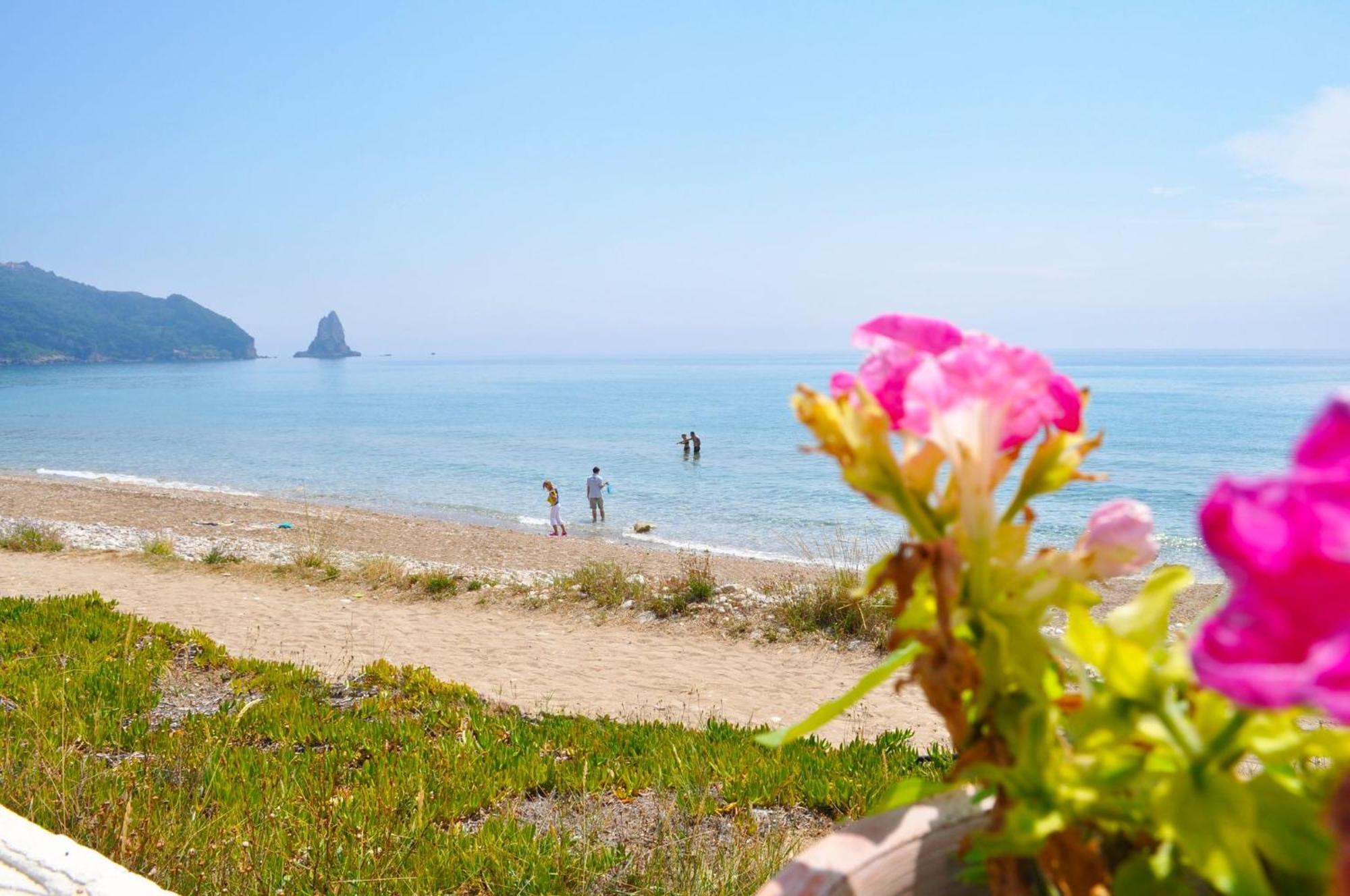 House Letta In A Very Quiet Location - Agios Gordios Apartment Agios Gordios (Corfu)