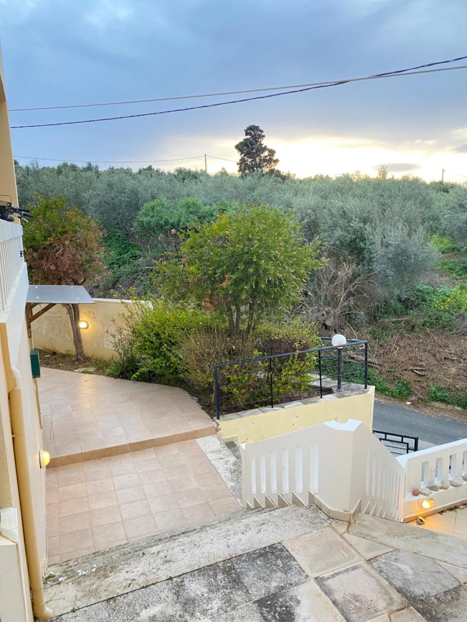 Pandora - Petit Bonheur * Maleme (Crete)