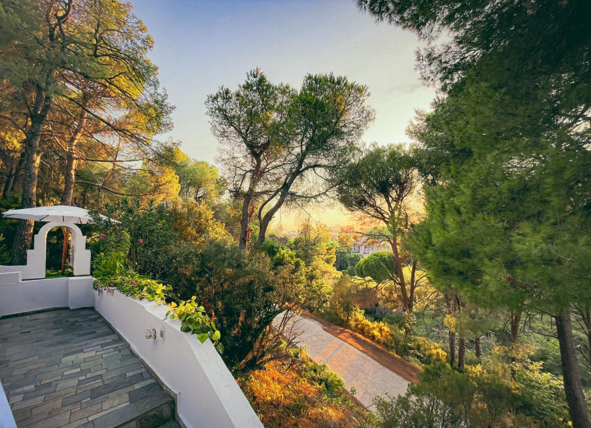 Pilion Villa *