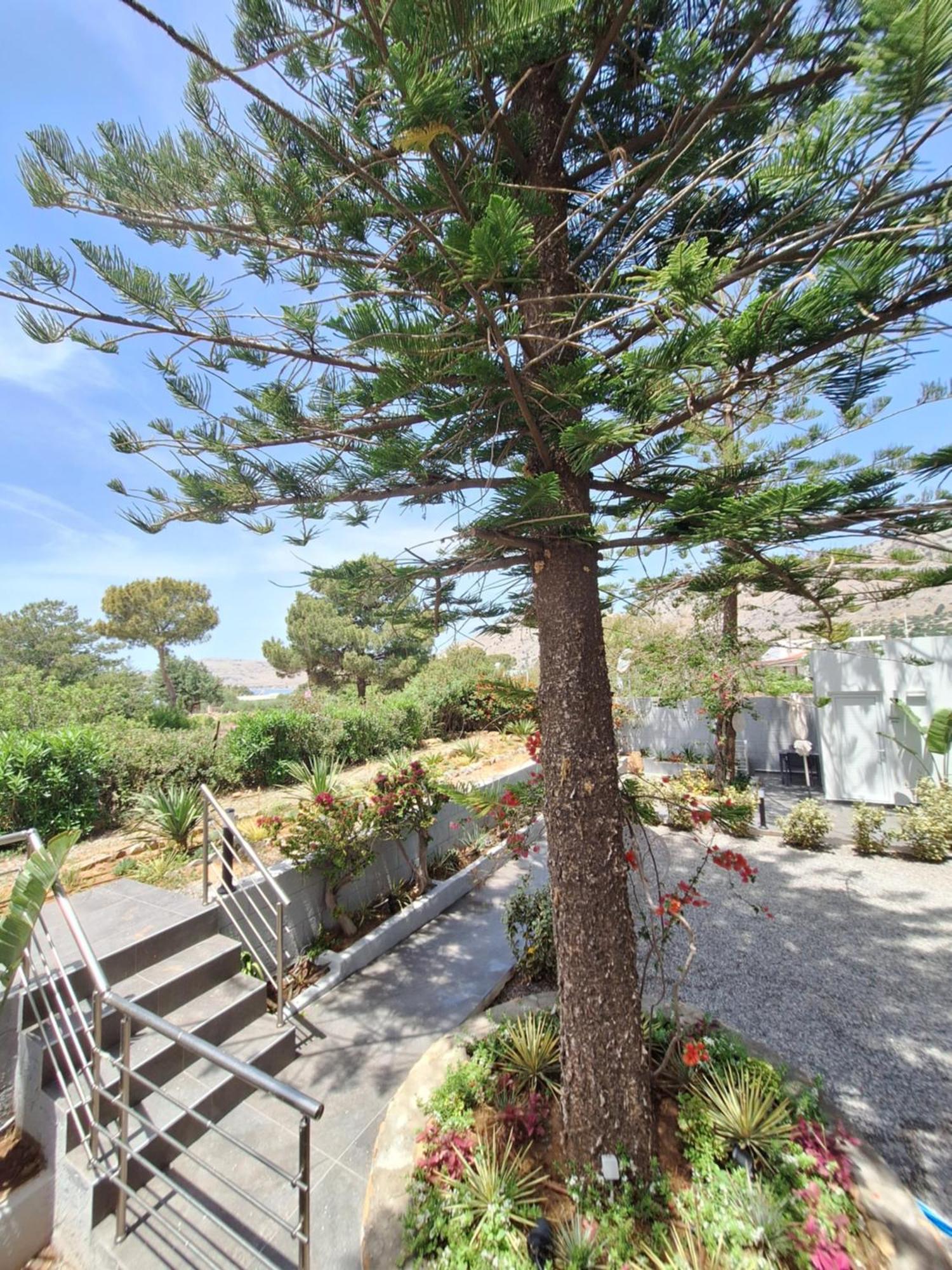 Pounedes Luxury Bed & Breakfast Pefki (Rhodes)