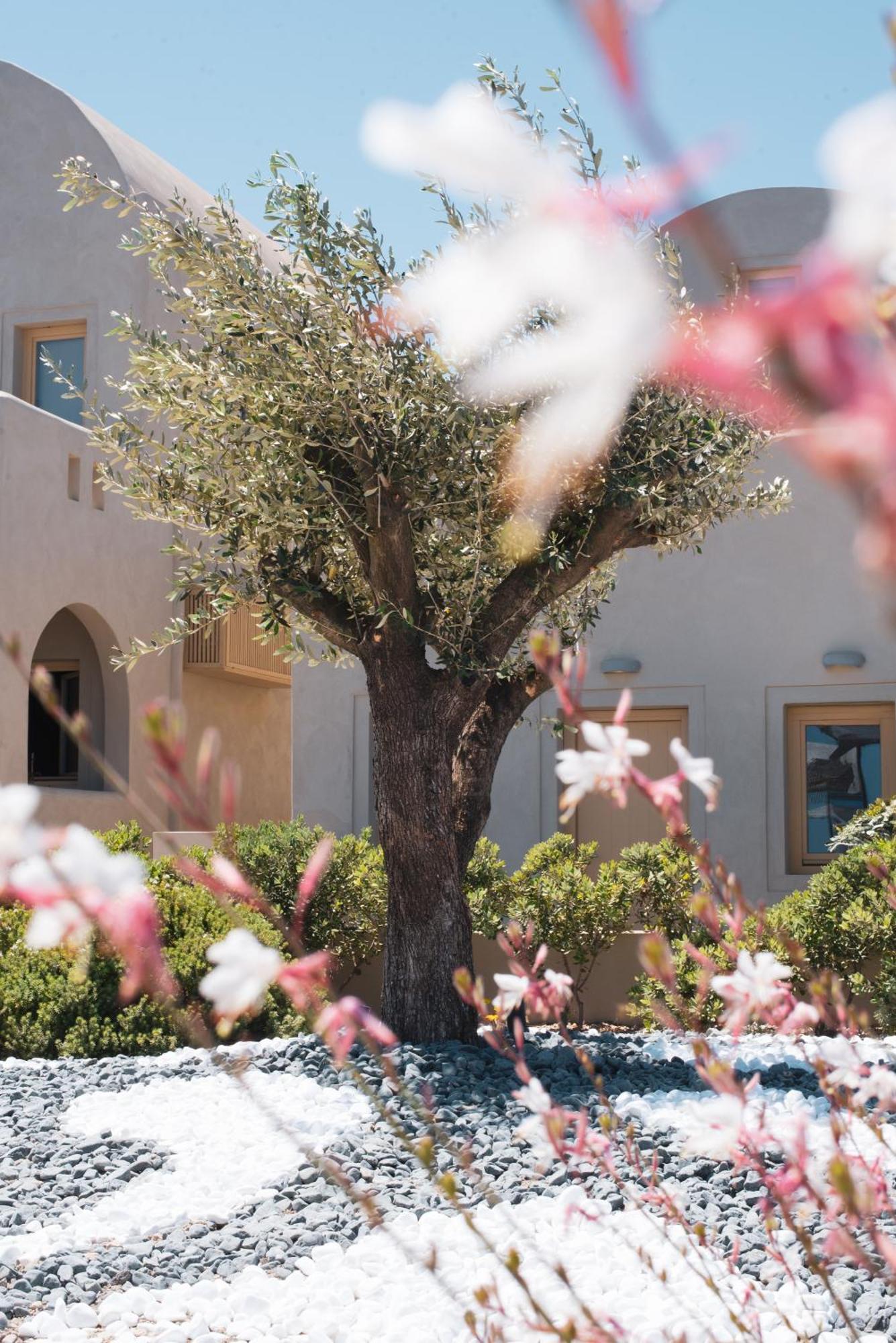 Hotel Colombos Beachfront Foinikia (Santorini)
