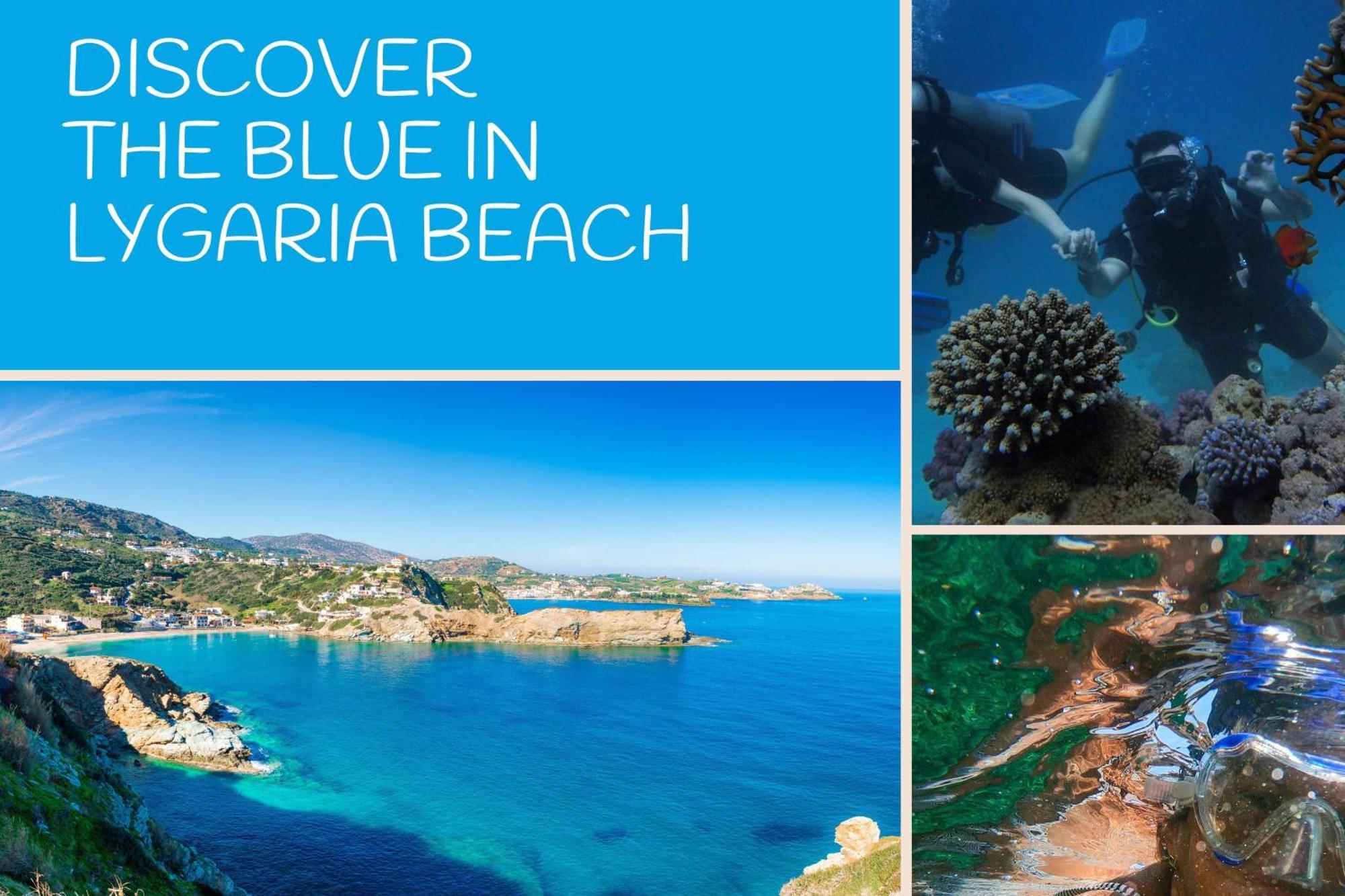 Homes Bluegreen - Beachfront, Pool, Garden And Bbq - Near Heraklion * Ligaria (Crete)