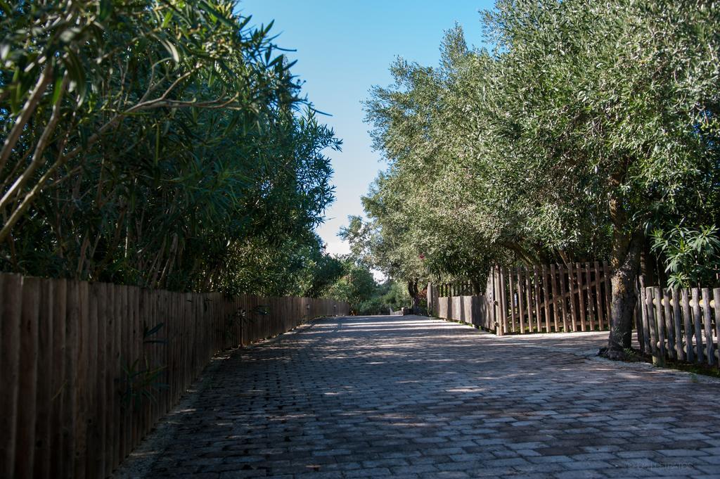 Leventis Complex With Sharing Pool Villa