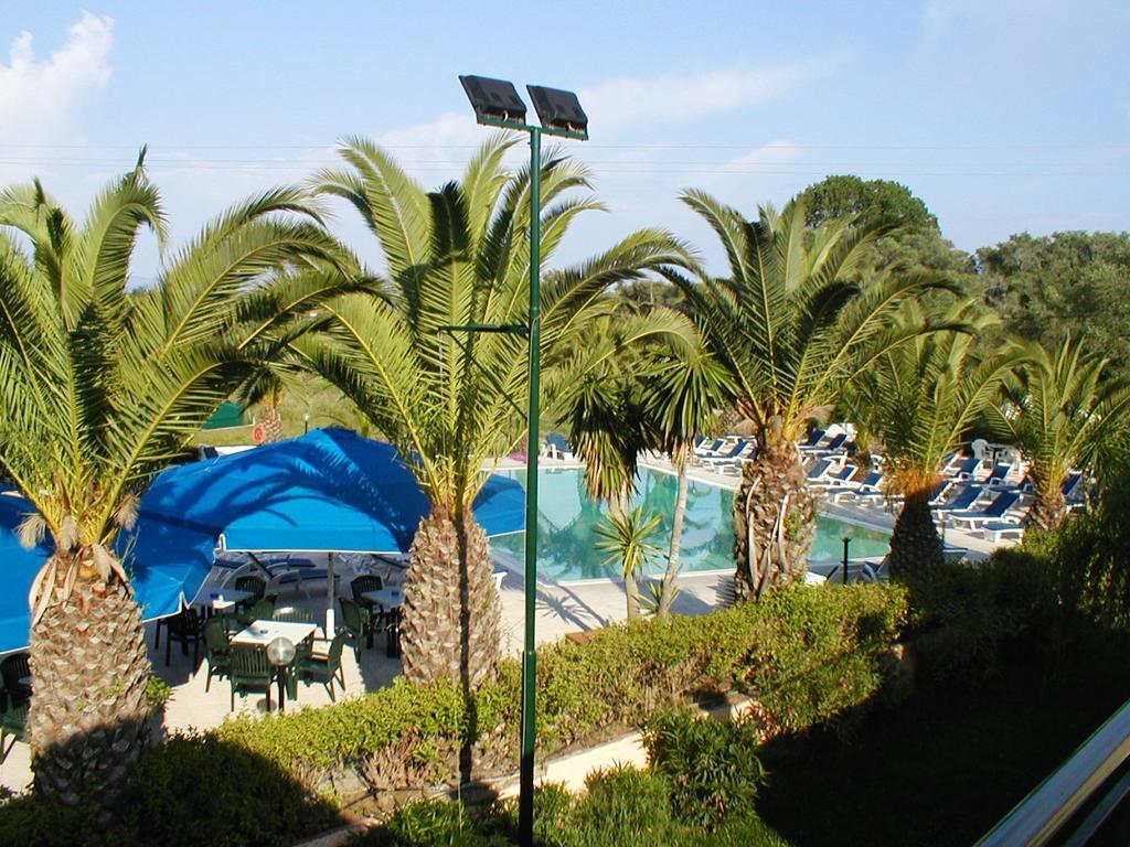 Morfeas Kavos