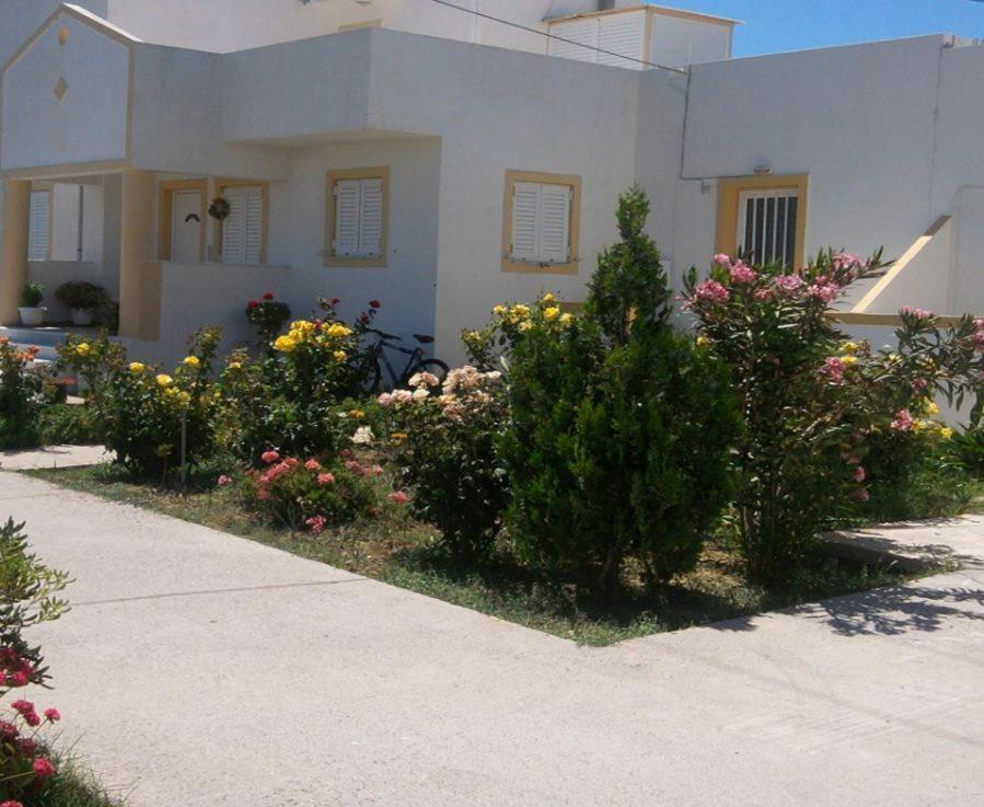 Nikos 2 & Kardamena (Kos)