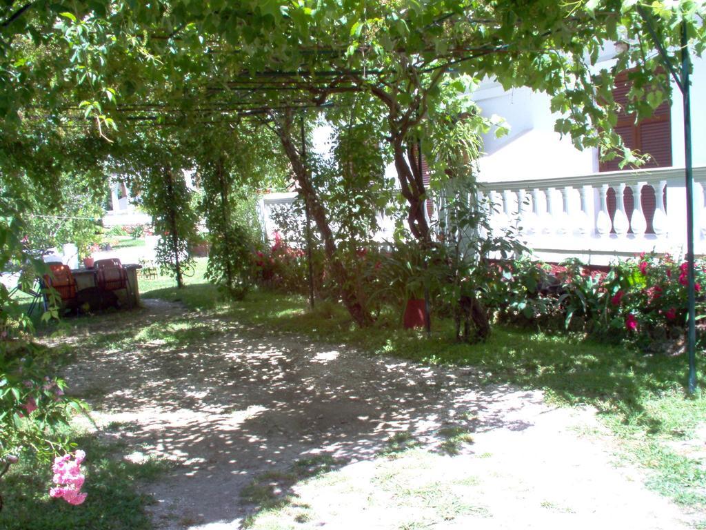 Alexandros * Mesongi
