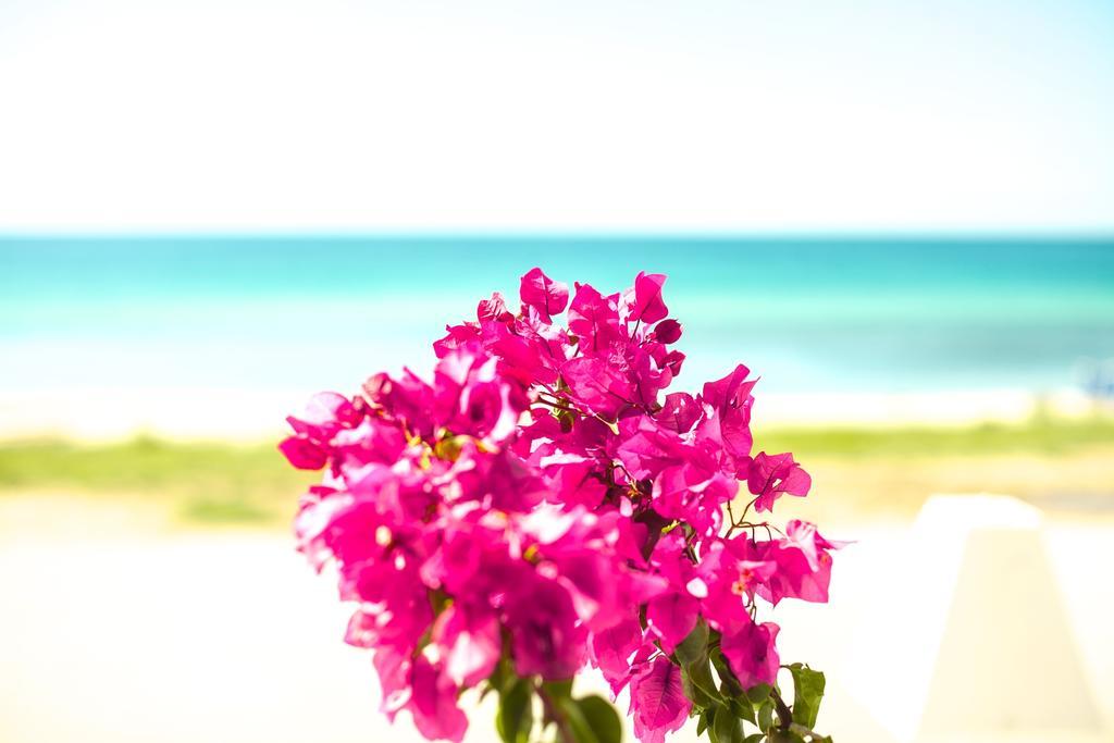 Bouganvillia Homes
