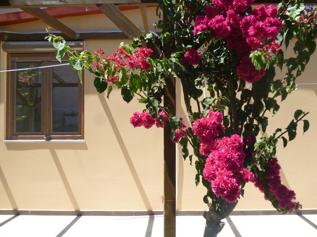 Sea Front Suites, Maisonettes & Apartments Villa Agia Marina (Crete)