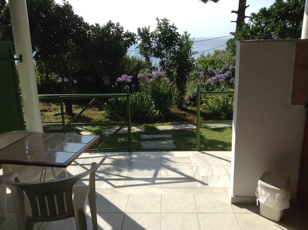 Yiannis (adults Only)