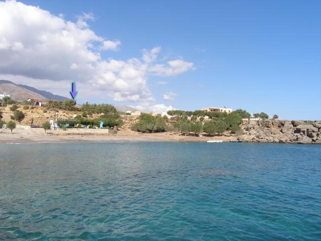 Apartment Zorbas