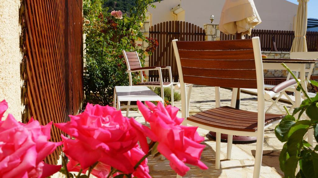 Artemis Holiday home *