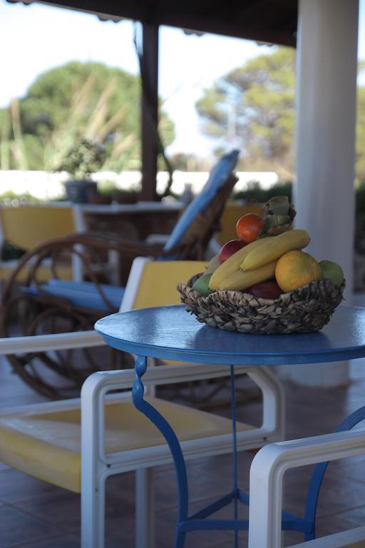 Apartment Nautilus Stavros (Crete)