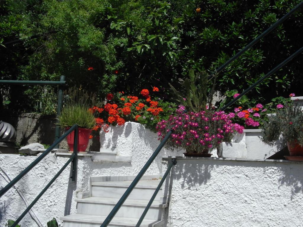 Yiannis (adults Only) Megali Ammos (Skiathos)