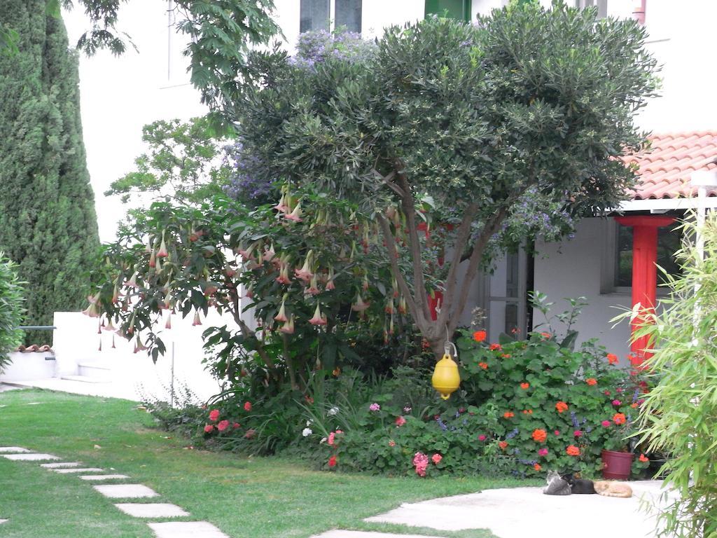 Guest house Yiannis (adults Only) Megali Ammos (Skiathos)