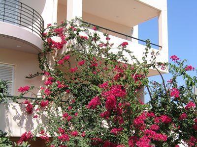 Apartment Lamno *
