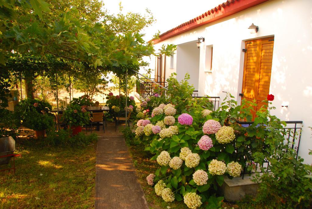 Guest house Charana Xrisi