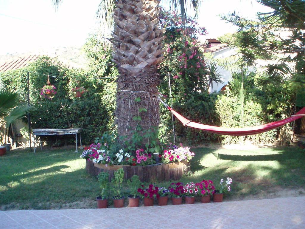 Apartment Xenos *
