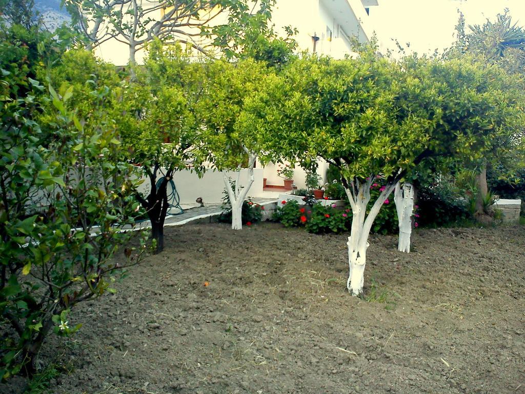 Guest house Hariklia Rent