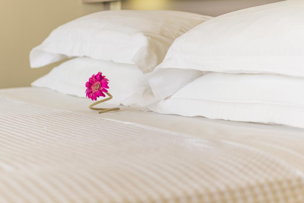 Hotel Palms And Spas Retreat
