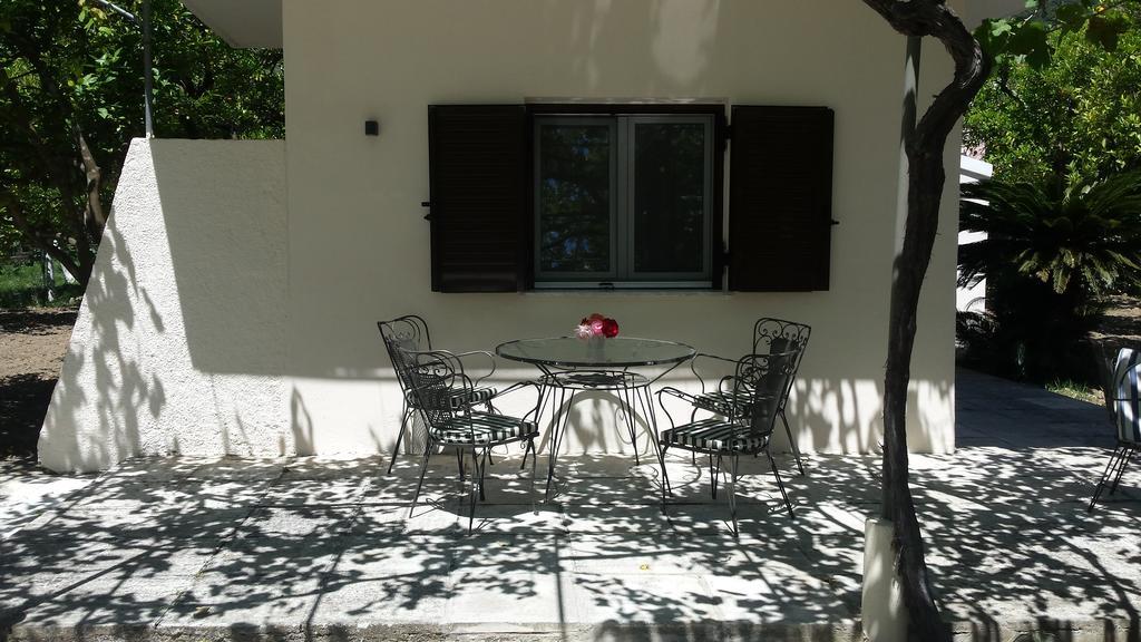Apartment Orange Grove