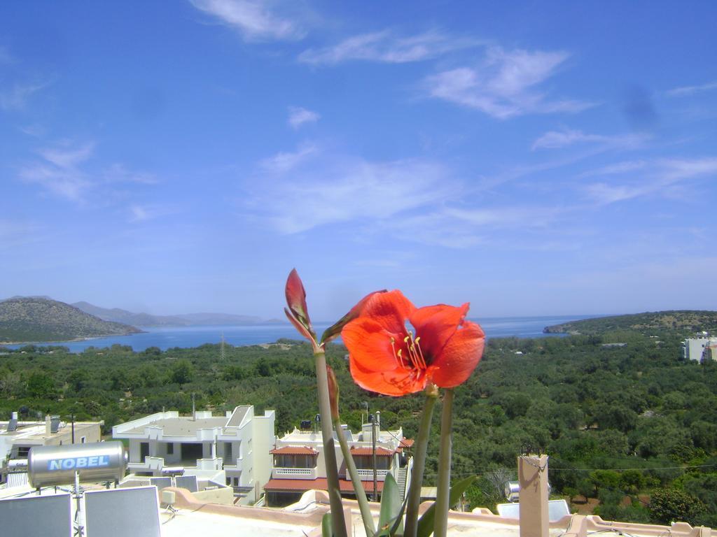 Kavousanos