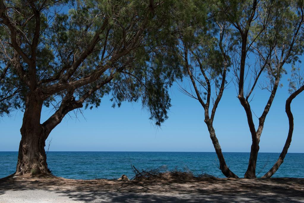 Rea's Sea House Kato Galatas
