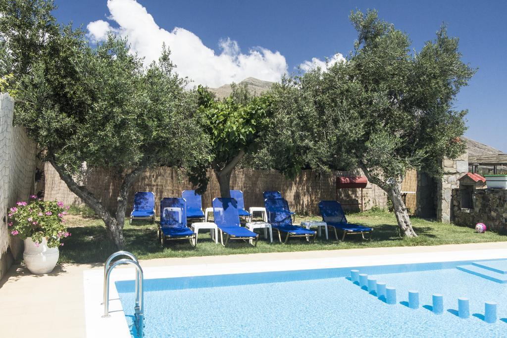Apartment Olive Tree
