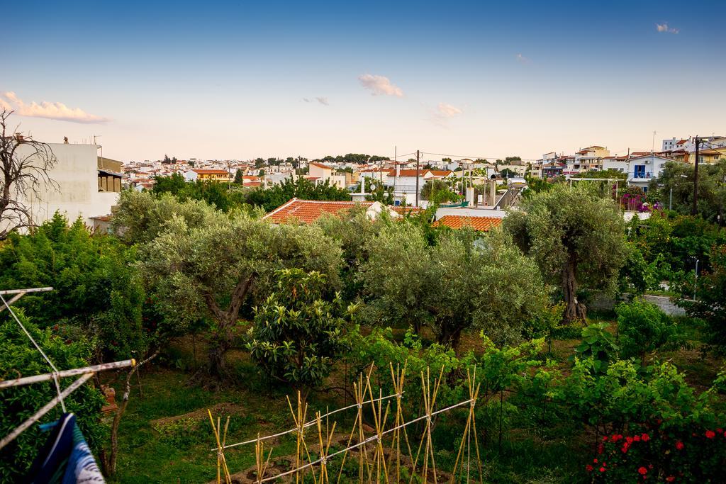 Apartment Act Art Skiathos
