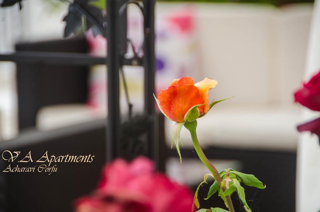 Apartment V.a Boutique And Acharavi (Corfu)