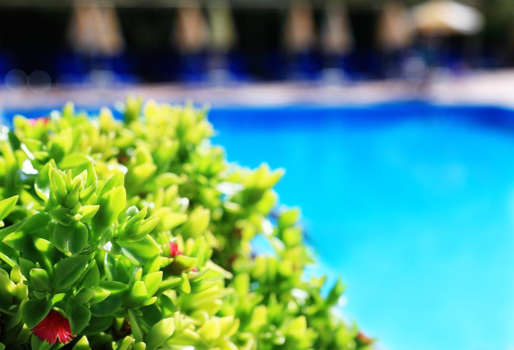 Resort Santa Marina 4*