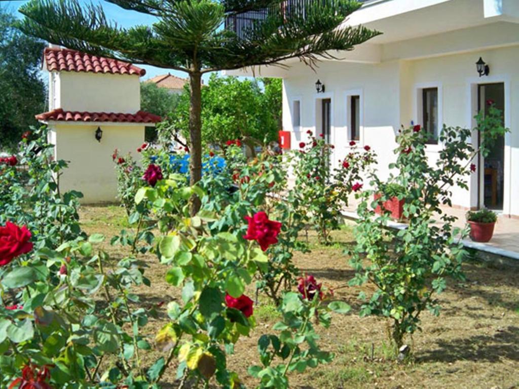Apartment Red Rose Garden Tsilivi (Zakynthos)