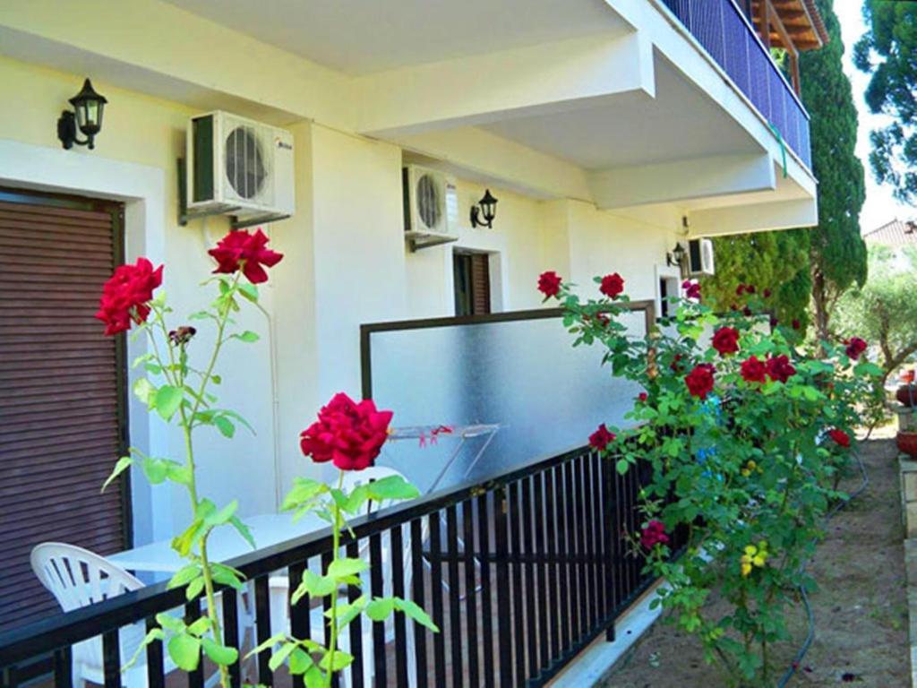Apartment Red Rose Garden
