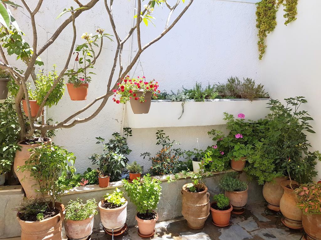 Aparthotel Kalypso Agia Galini (Crete)