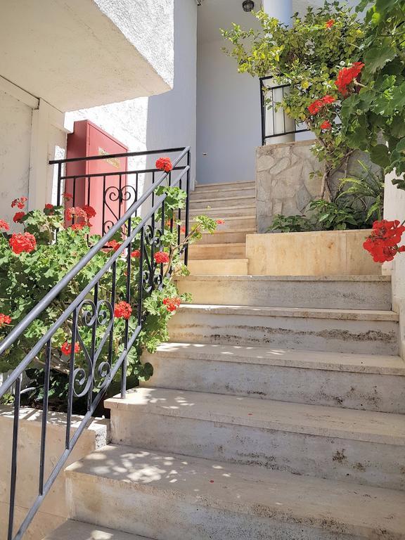 Kalypso Agia Galini (Crete)