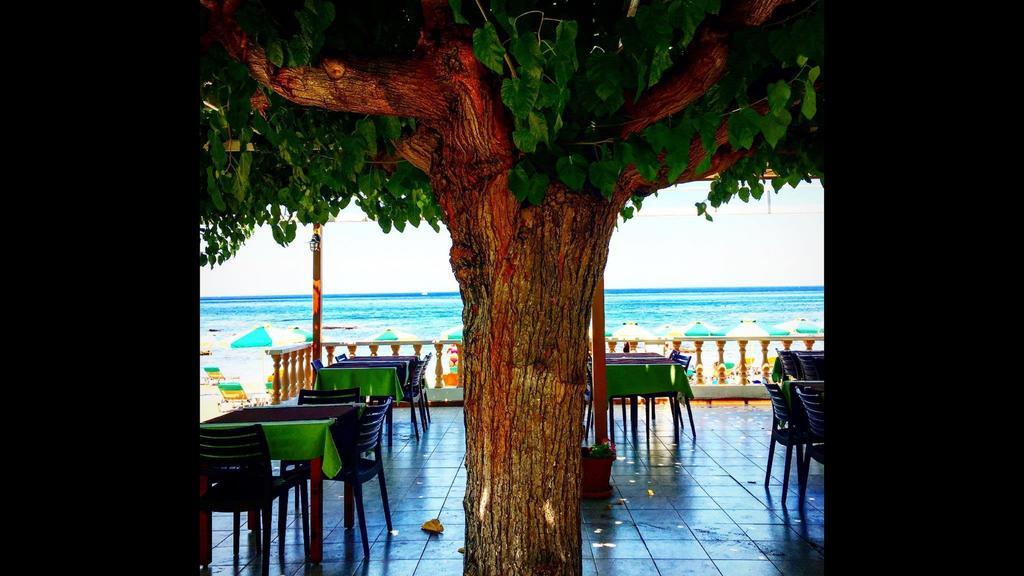 Aparthotel Paradise