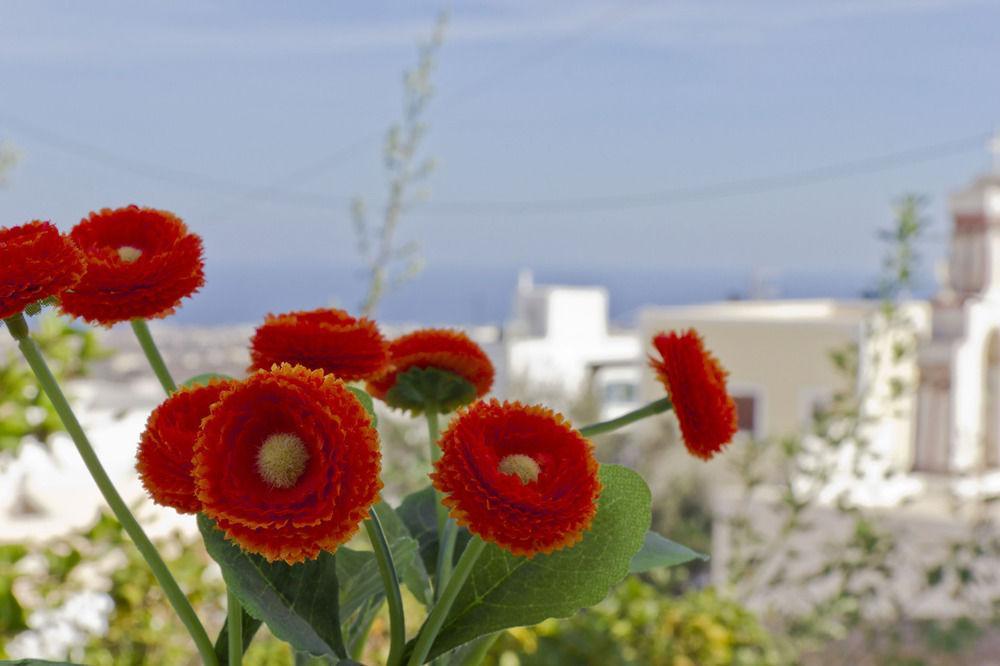 Guest house Sweet Pop (adults Only) Fira (Santorini)