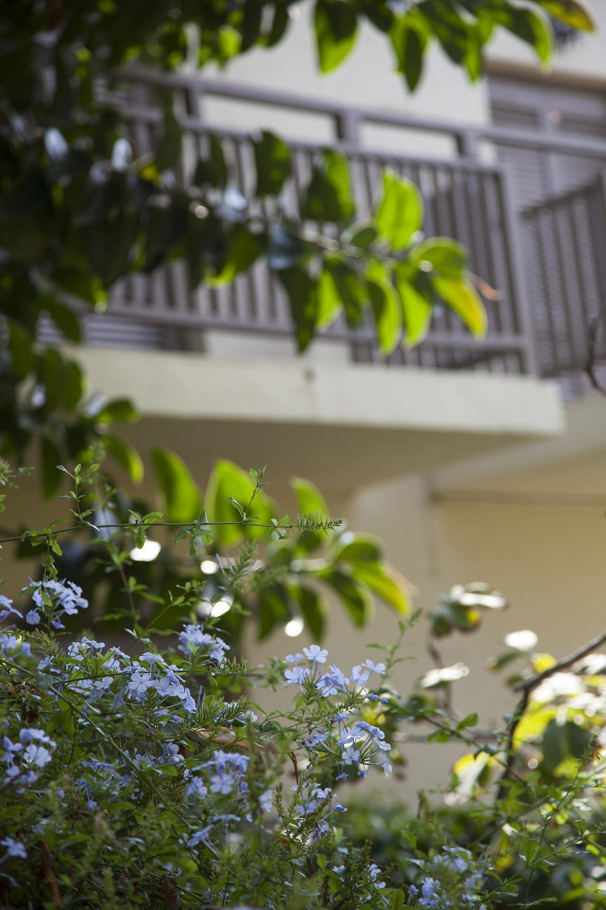 Elpida Village 4* Istro