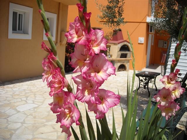 Erietta Hotel Svoronata