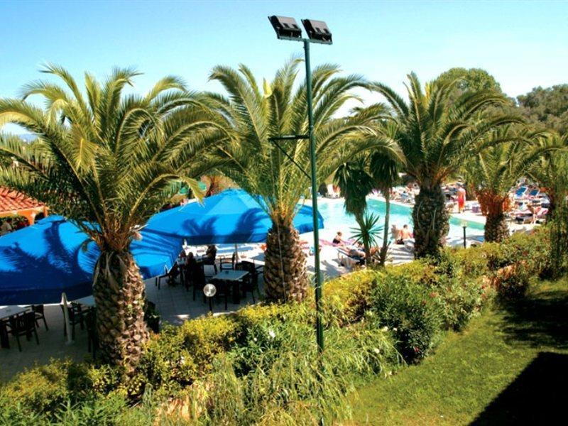 Morfeas 2* Kavos