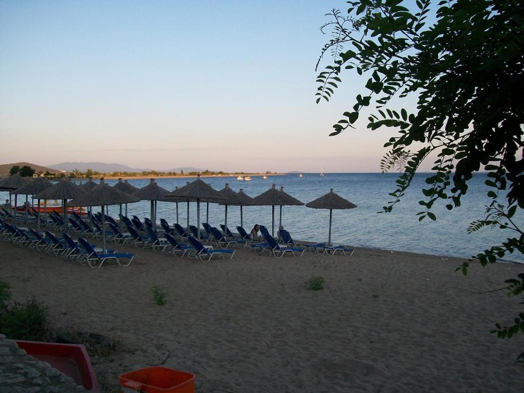 Paschalia Sea View Apartment *