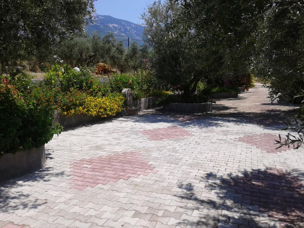 Apartment Elpida Trapezaki (Kefalonia)