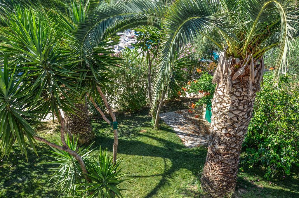 Apartment Olive Grove Apts *