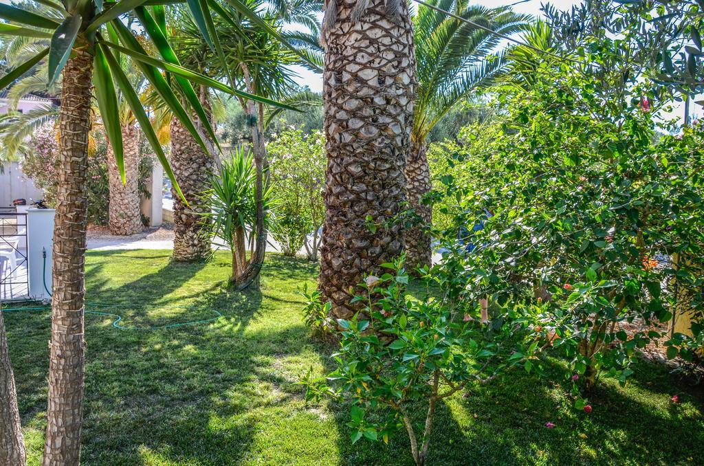 Olive Grove Apts * Lithakia (Zakynthos)