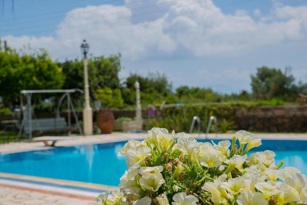 Apartment Of Roses