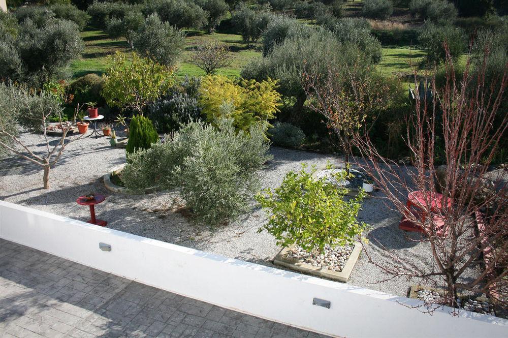 Villa The Olive Branch *