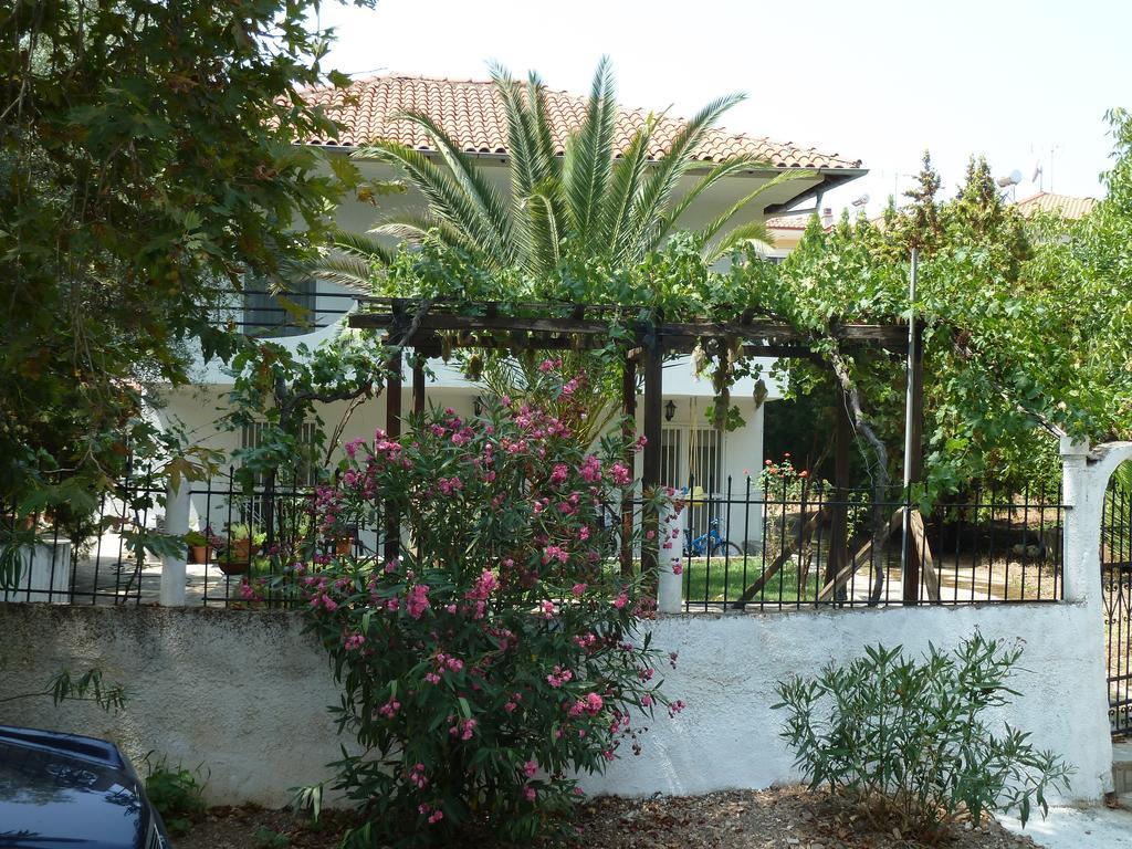 Apartment Dimi