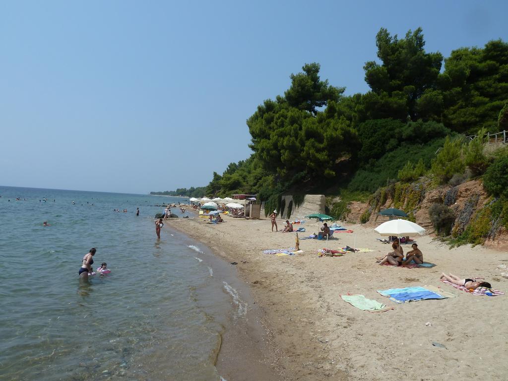 Dimi * Metamorfosi (Sithonia)